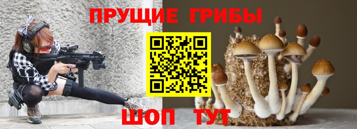 Псилоцибиновые грибы Psilocybe  Вход с VPN  Гай  Псилоцибиновые грибы Psilocybe 